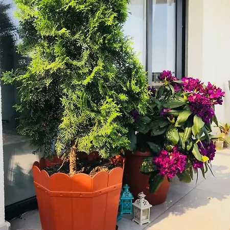 Modern And Cozy * كلوج-نابوكا